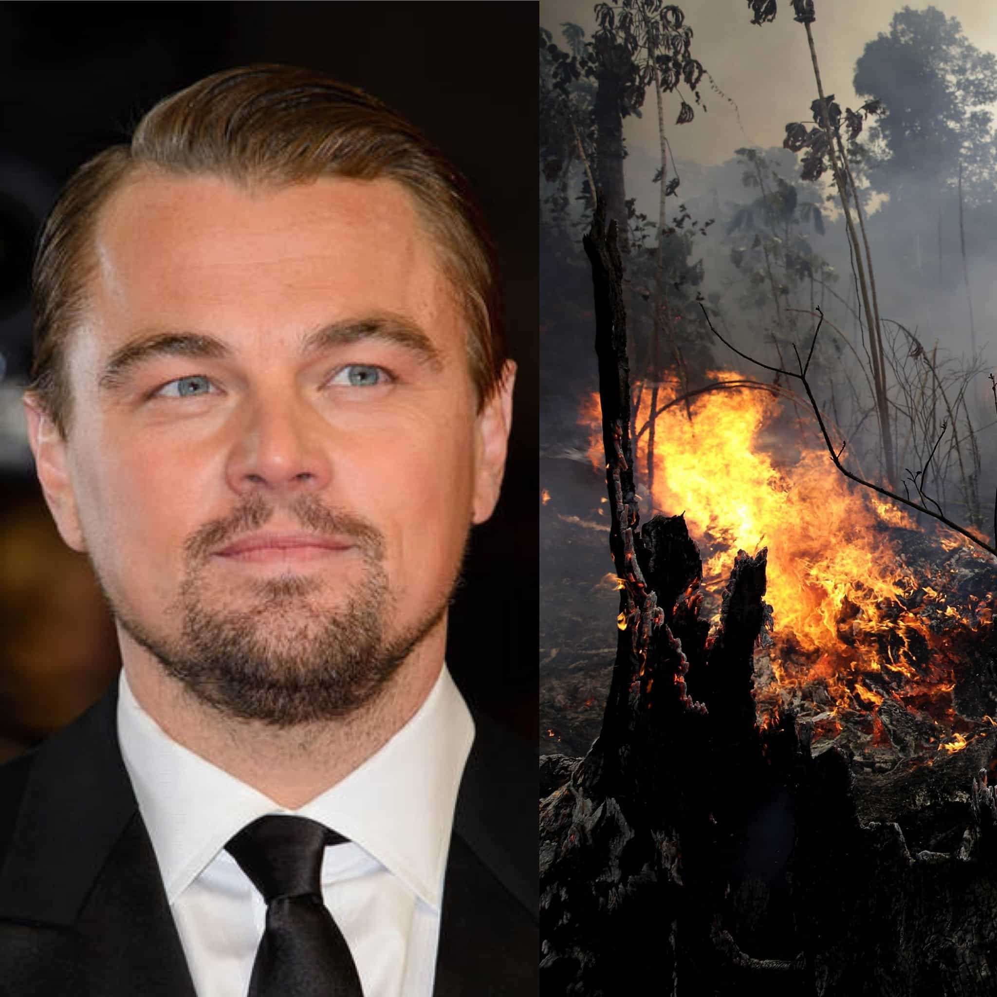 Leonardo DiCaprio yn rhoi i helpu Amazon