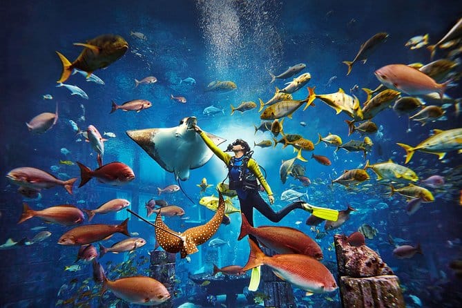 Atlantis Dubai Diving Experiences
