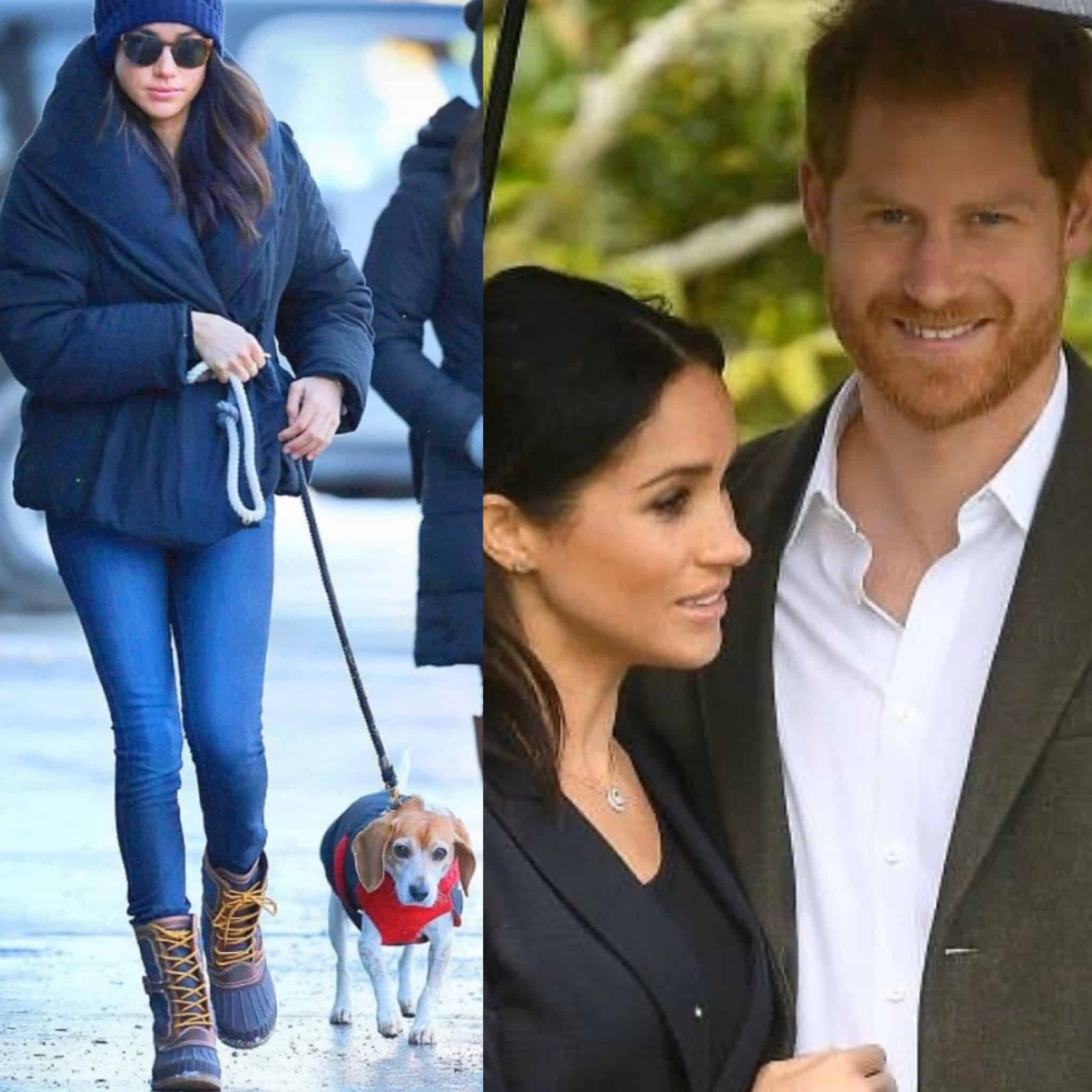 Megan Markle Kanadara bidaiatzen du, eta erregina alertan dago eta bere erabakia hartzen du