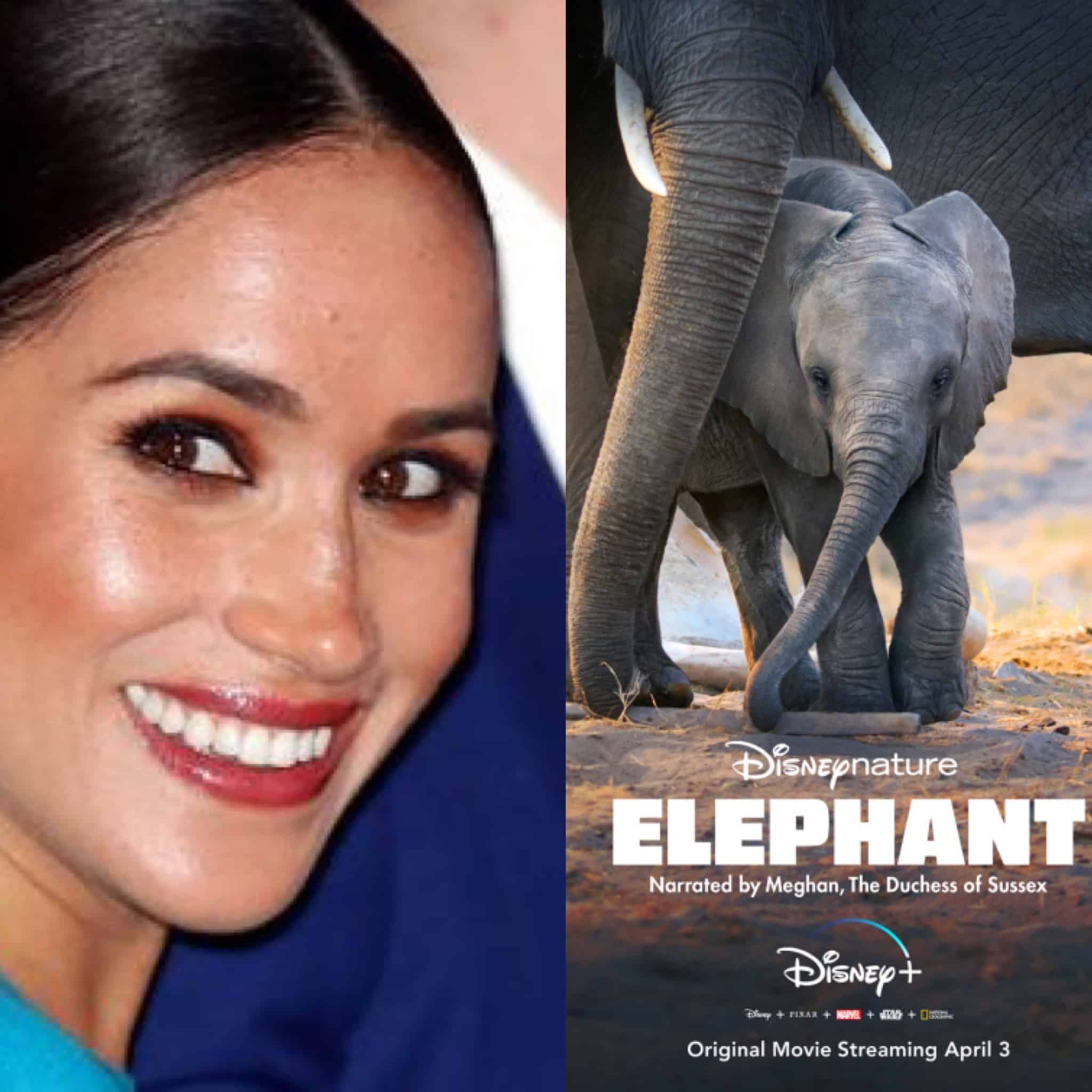 Meghan Markle Disney'in fotoğrafı.