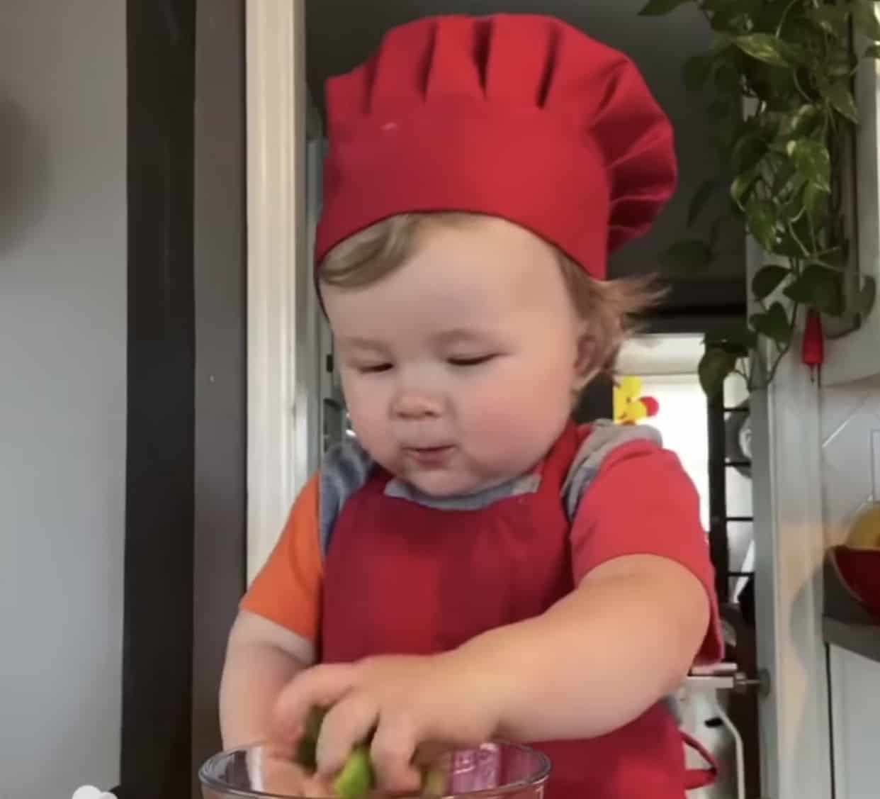 Little Chef Kobe