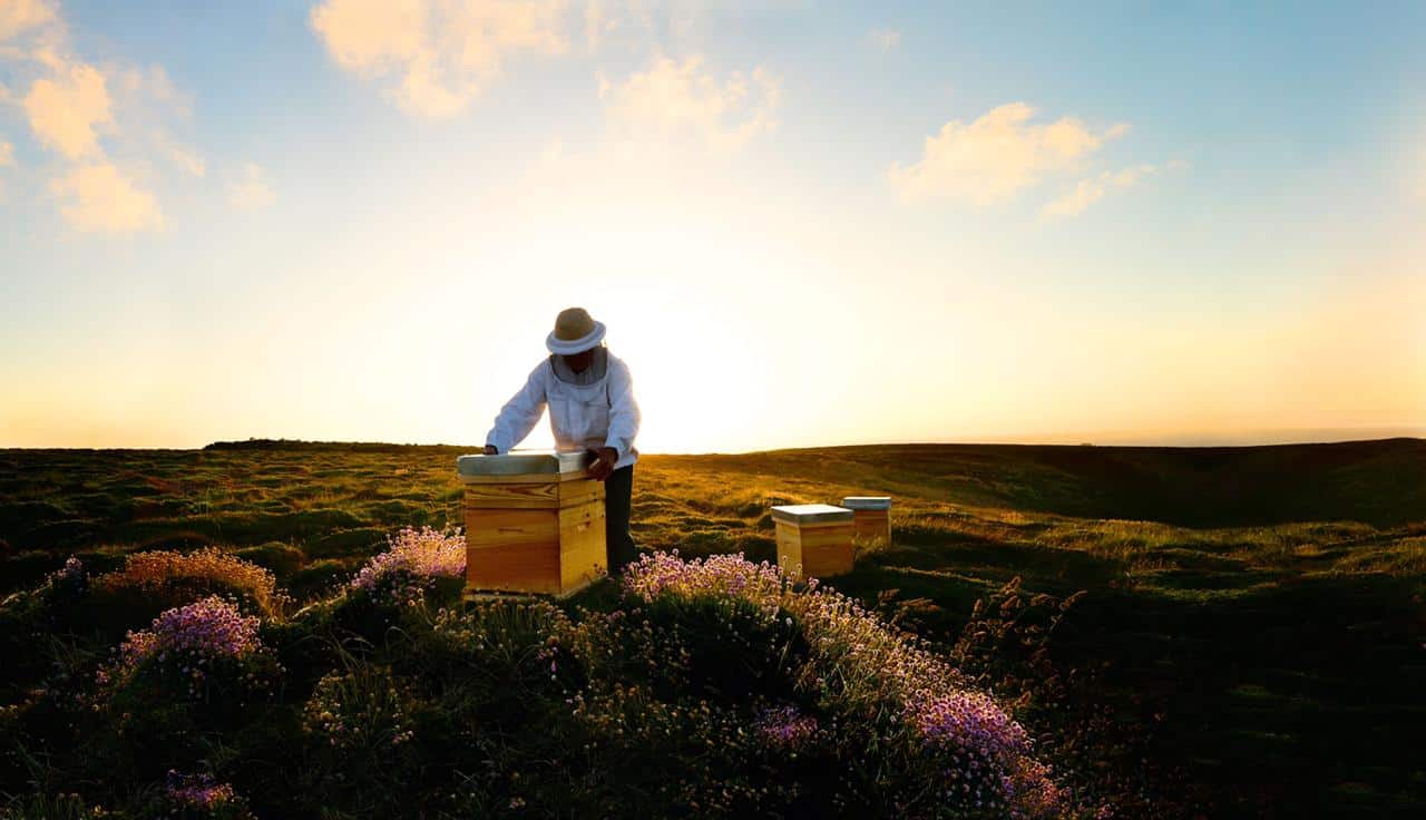 Guerlain's environment