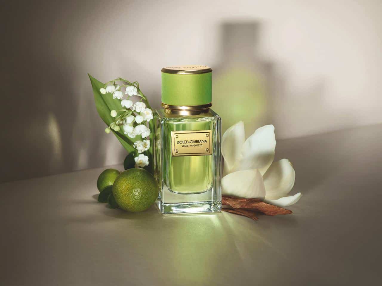 Velvet Mojito, the new enchanting fragrance of Dolce&Gabbana perfumes