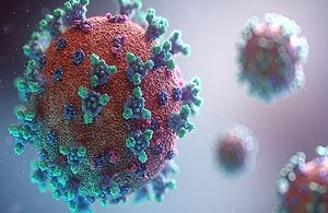 Coronavirus