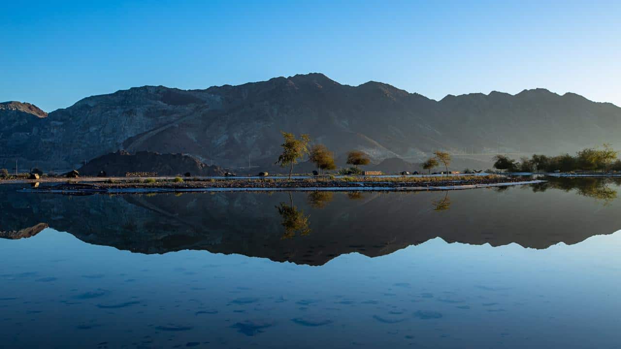 دبي توفّر خيارات متنوّعة تثري تجارب عشّاق الطبيعة والحياة البرية والمغامرات