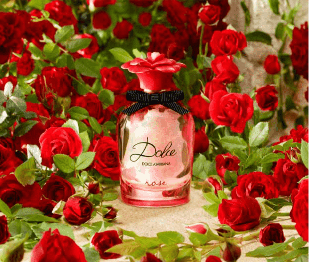 Den nya eau de toilette-rosen från Dolce och Gabbana