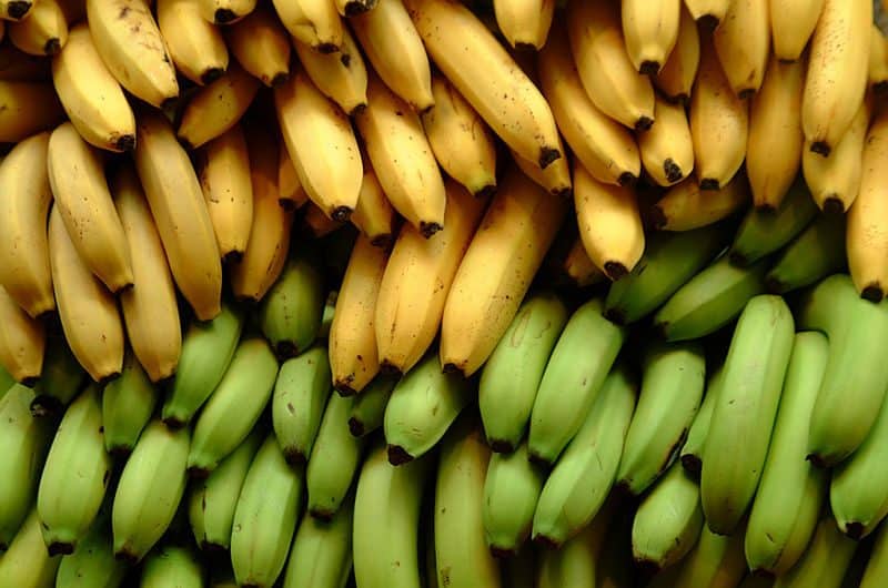 pisang kuning pisang hijau