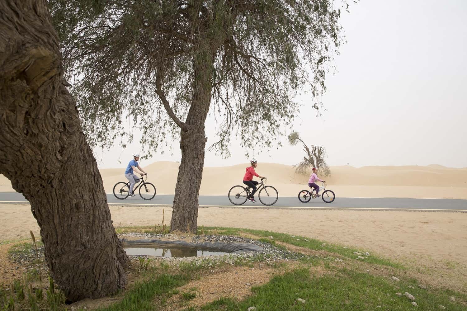 بيان صحفي: "دبي للسياحة المستدامة" تُطلق مبادرة "شاركنا الاستدامة"