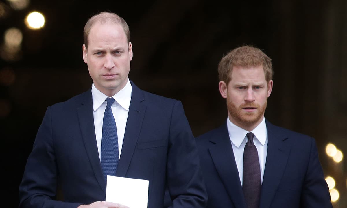 Prins Harry og prins William