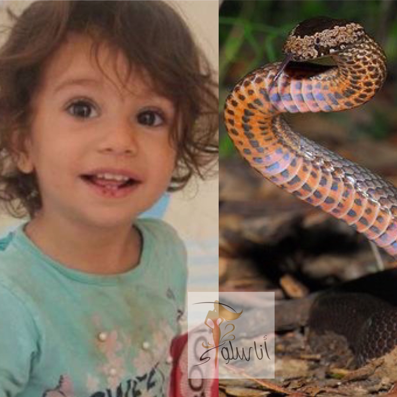 Una nena mata una serp amb les dents