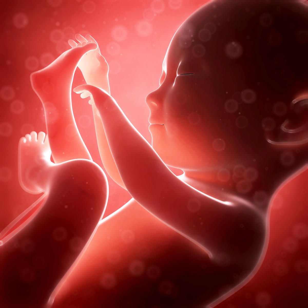 вештачки ембрион