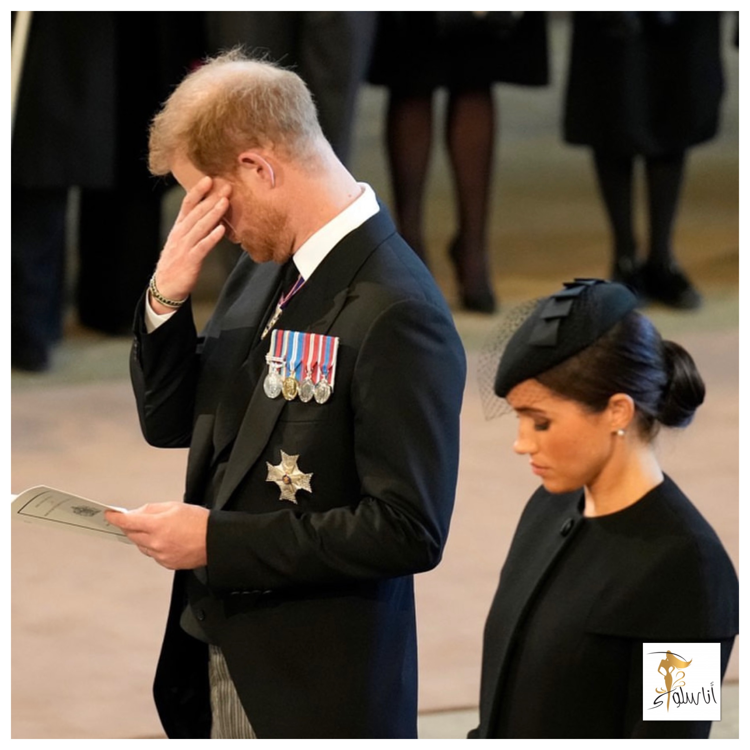 Corpus linguarum scriptor necessitudinem ostendit Prince Harry