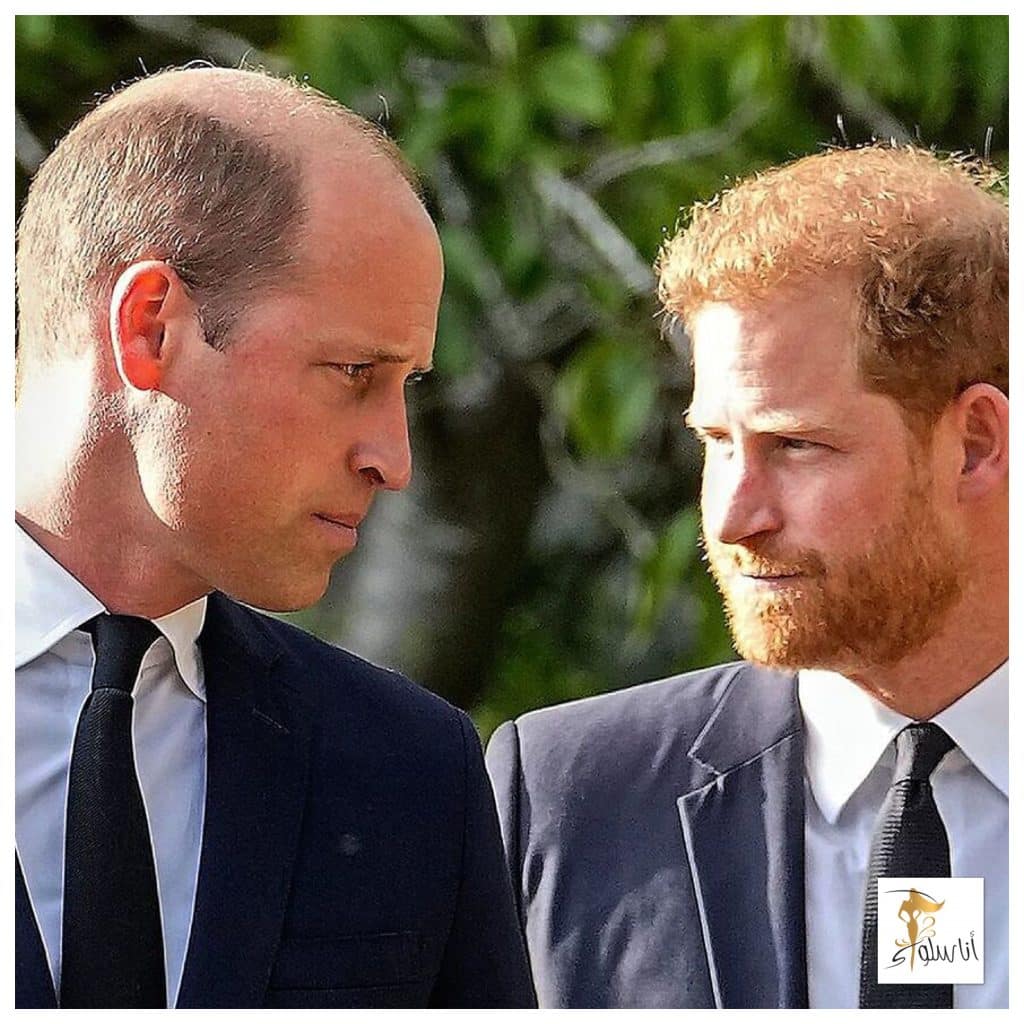 Il-Prinċep Harry u l-Prinċep William