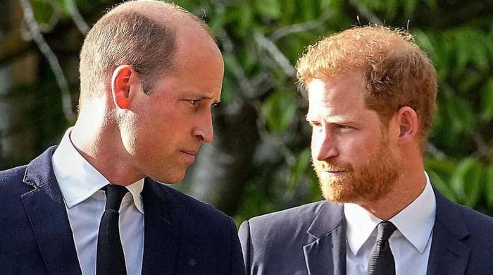 Prins William en Prins Harry